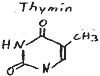 chemische Struktur Thymin